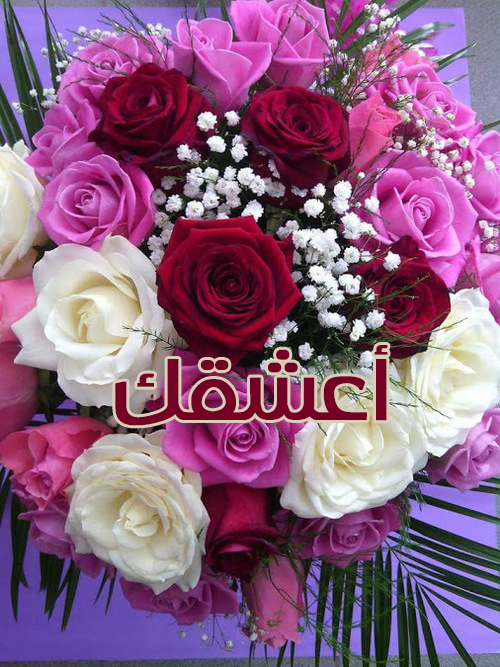 مكتوب فيها اعشقك