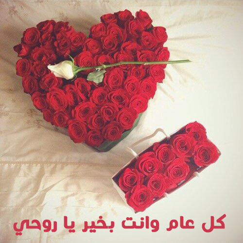 هدايا ورد عيد الحب 43