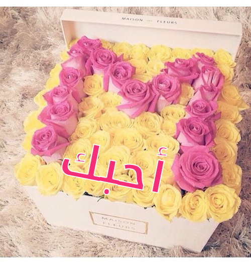 هدية حرف m
