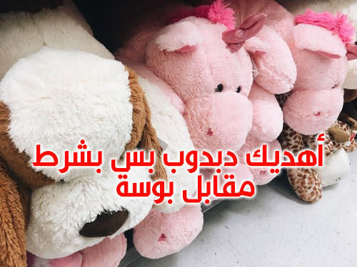 هدية عيد الحب مكتوب عليها59