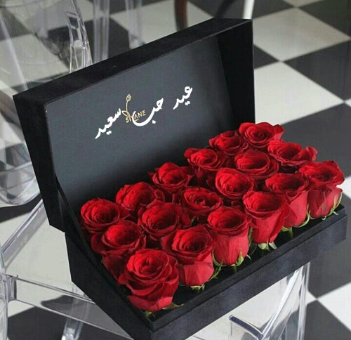 ورد احمر جديدة 5م5