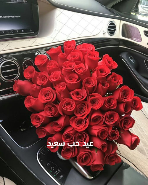 ورد احمر على السيارة 67