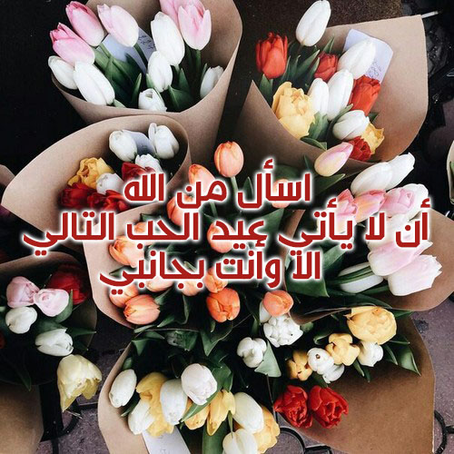 ورد عيد الحب 40ي