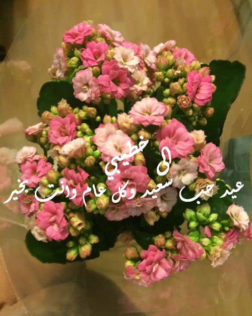 ورد للمخطوبين 4