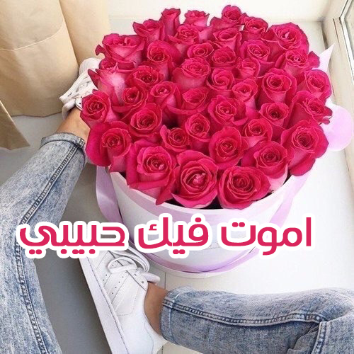 ورد