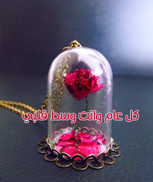 وردة حمراء 3خ
