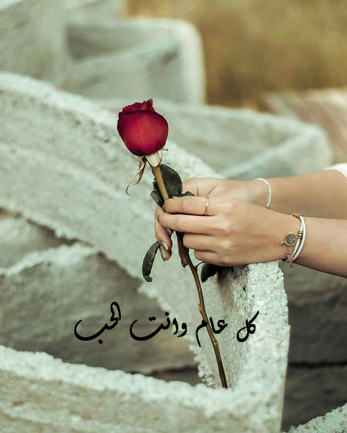 وردة حمراء في يد بنت 49
