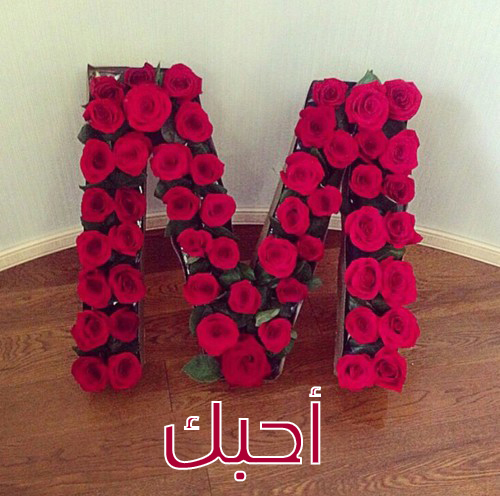 ورود حرف m