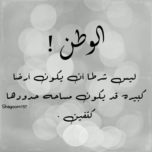 عن الوطن