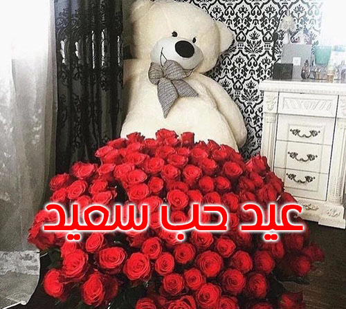حب سعيد 5