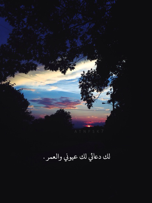 جميل للغائب 44ا