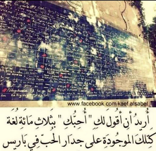حب رومانسي 9ع6
