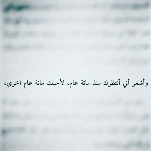 رومانسي رائع 89ت