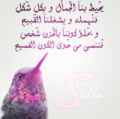 عن الاهمال في الحب 40خ