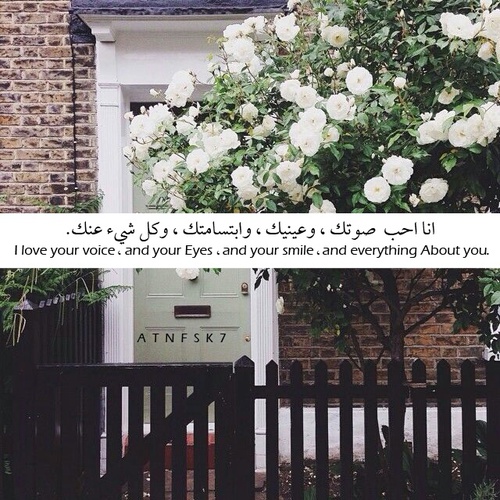 رومانسية على صور 9ع6