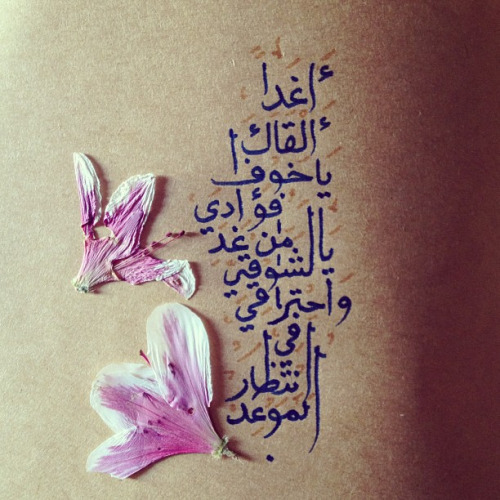 رومانسية للغائب ك3ك