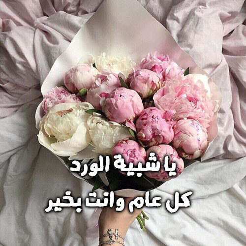 عيد الحب 0