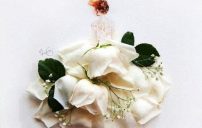 رمزيات للعروسة 22