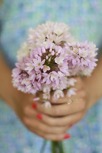 باقات ورد 39ه