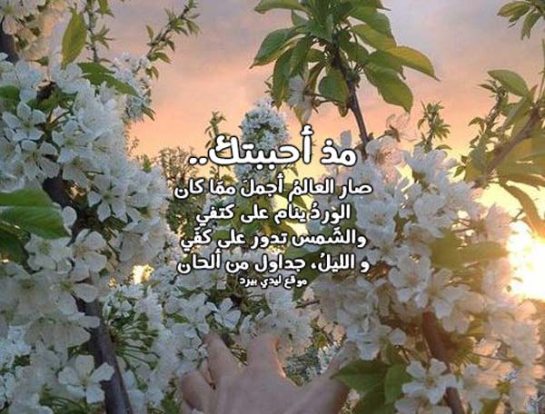 حالات واتس اب رومانسية