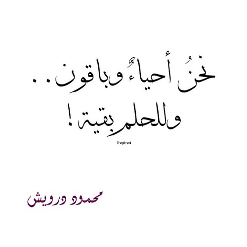 عن نهاية الحلم 4