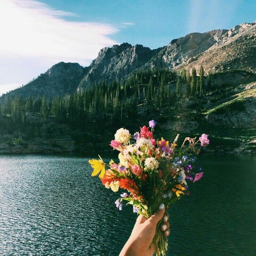 ورد رومانسية حلوة 3م