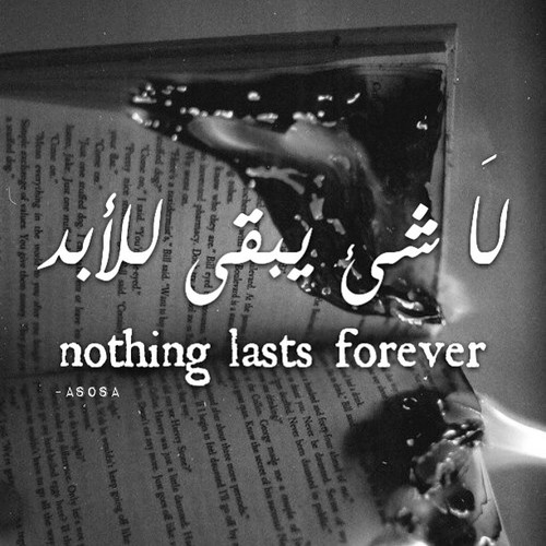 جارحة 44