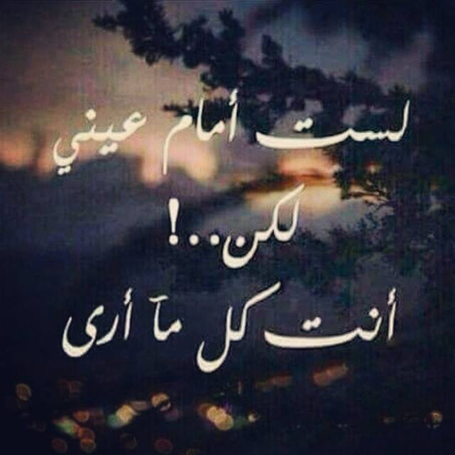 شوق رومانسية حجج2