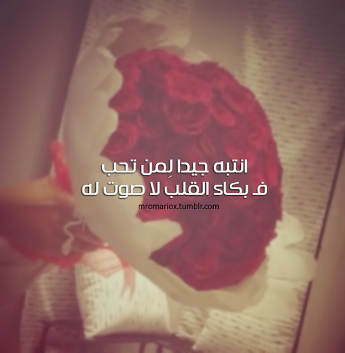 للحبيب 339ه