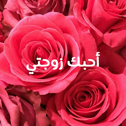 احبك زوجتي 34ب