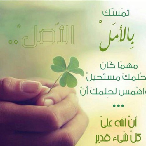 امل بالاحلام 59