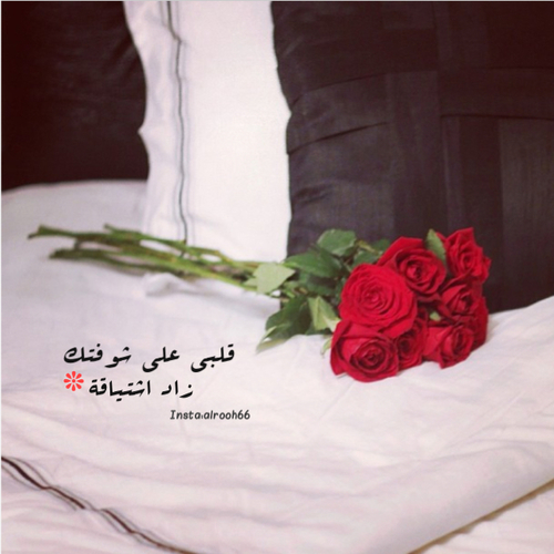 حب جديدة43