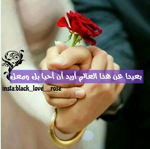 حب للزوجين 0خ3