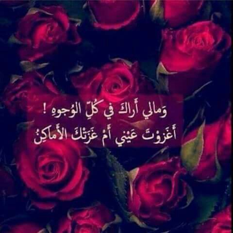 رومانسية لزوجتي 393