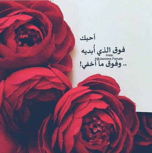 رومانسية مكتوب عليها
