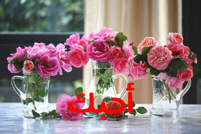 رومانسية ورد مكتوبة 45