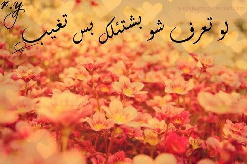 رومانسية وشوق 28ع
