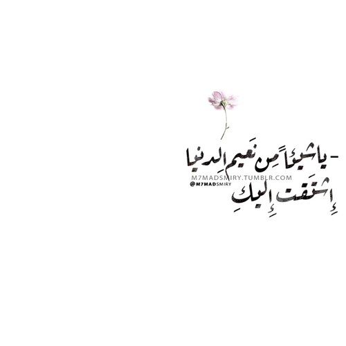 شوق رومانسية 950