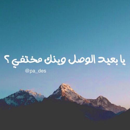 شوق مكتوبة 7غق