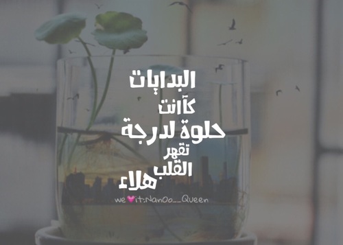 عن البدايات 3