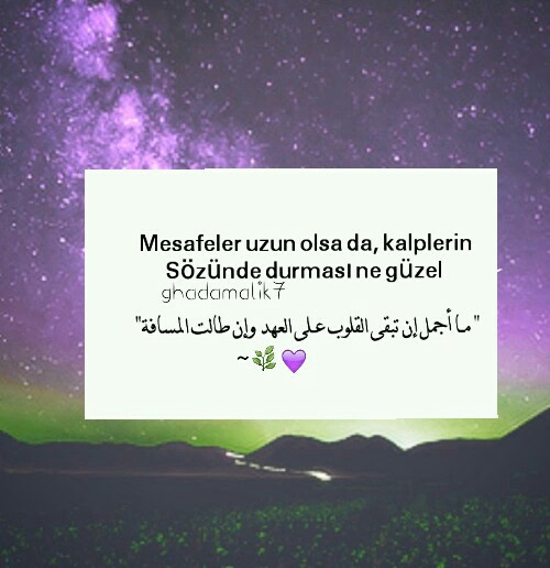 عن الحب 49
