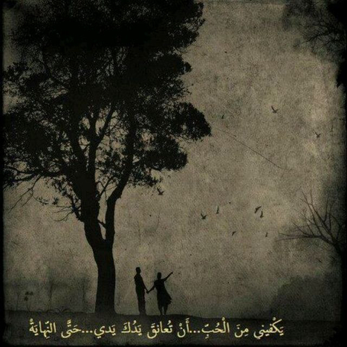 عن الحب رومانسية ز8
