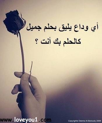 عن النهاية مؤلمة 3