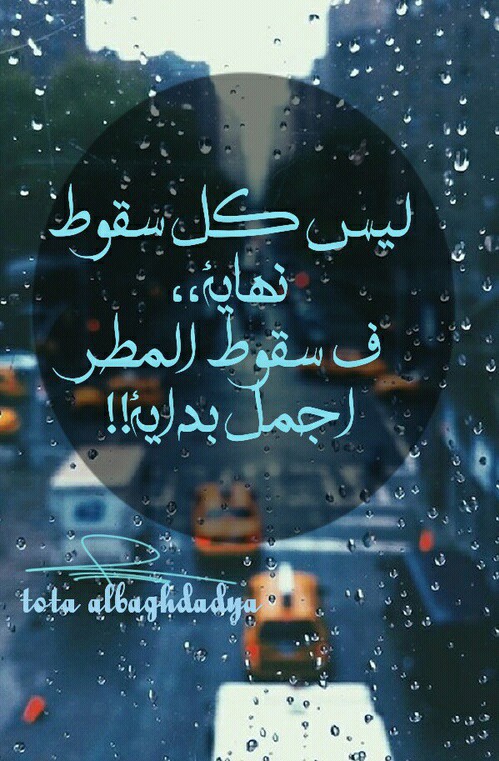 عن بداية حلم جديد 3