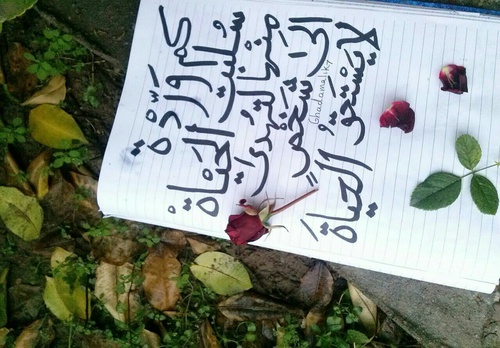 عن جروح الحياة 37