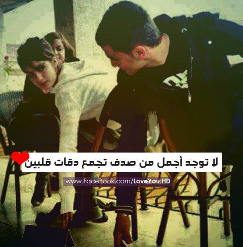 عن صدفة الحب 7غ8