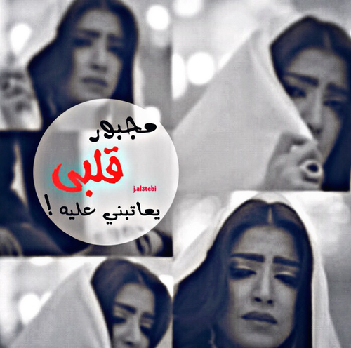 عن عتاب القلب 3ع8