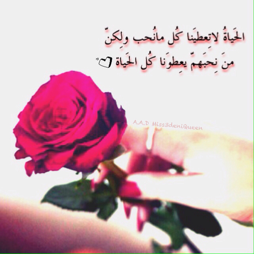 كلمات عن الحب 32