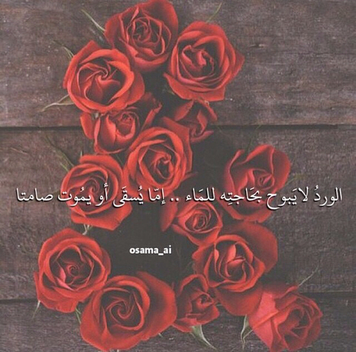 كلمات عن عذاب الجروح3