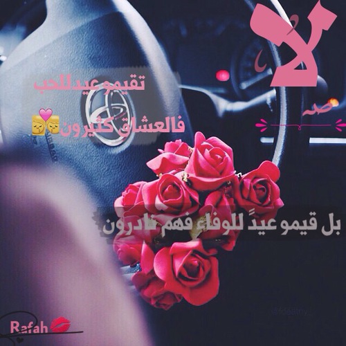 لا لعيد الحب 44